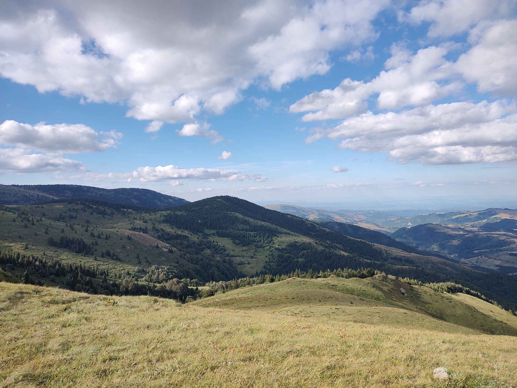 Borovnice, krvavi trening i prvi intervali